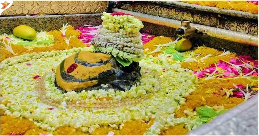 ओंकारेश्वर लाइव दर्शन – नर्मदा तट से सीधे बाबा ओंकारेश्वर के दिव्य दर्शन करें